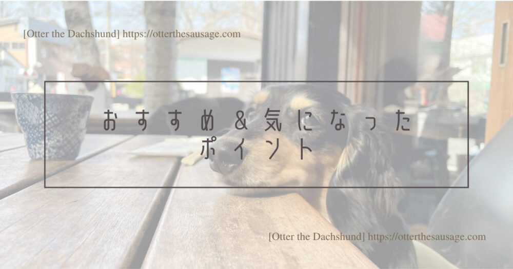 Header Image_Otter the Dachshund_travel with dogs_hang out with dogs_犬旅ブログ_犬とお出かけブログ_軽井沢_川上庵本店_おすすめ＆気になったポイント